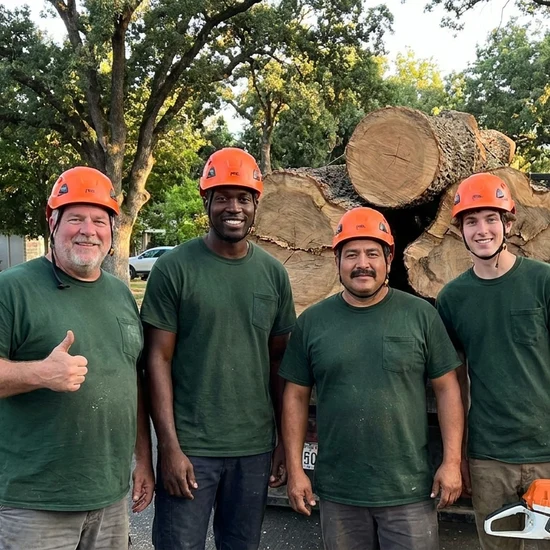 Leo's tree crew with a truck loaded with oak logs in Philadelphia